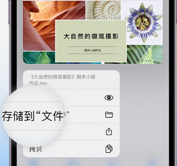 宁武apple维修中心分享iPhone文件应用中存储和找到下载文件