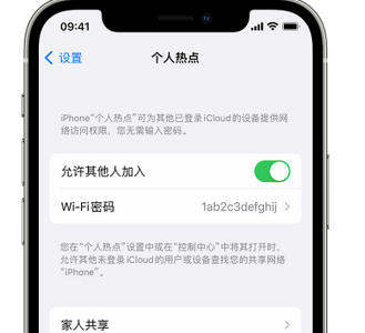 宁武apple服务站点分享iPhone上个人热点丢失了怎么办 