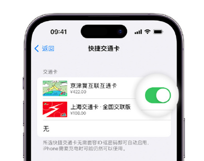 宁武apple维修点分享iPhone上更换Apple Pay快捷交通卡手绘卡面 