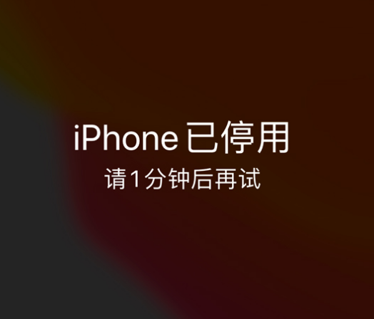 宁武苹果手机维修分享:iPhone 显示“不可用”或“已停用”怎么办？还能保留数据吗？ 