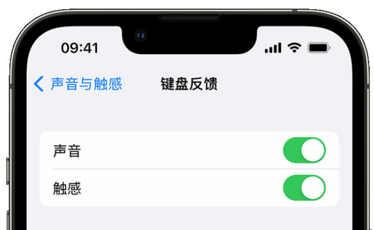 宁武苹果手机维修分享iPhone 14触感键盘使用方法 