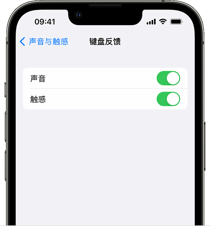 宁武苹果14维修店分享如何在 iPhone 14 机型中使用触感键盘 